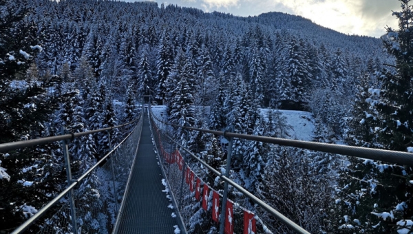 Pont suspendu à Torgon: quand l'eau et les touristes prennent "l'air"